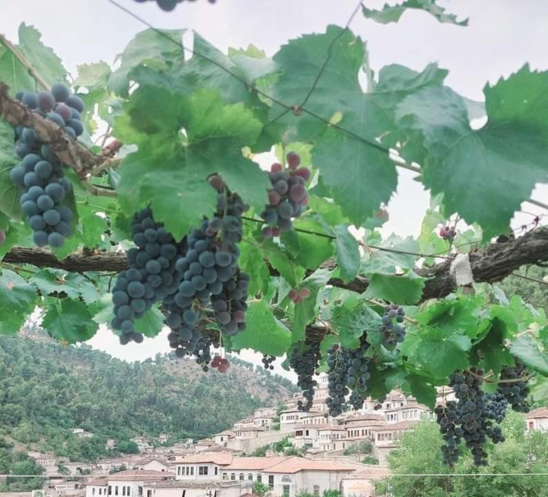 Guest House Baba Lluka Berat Dış mekan fotoğraf